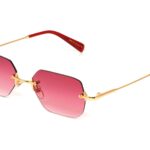 Lunettes de soleil Clarity Gold & Maroon (Special Edition)